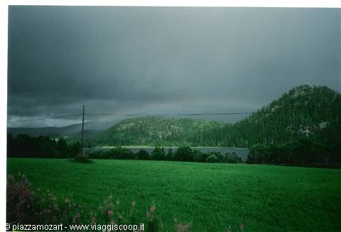 Green lake surrounded by forests under leaden sky, flowering meadow in foreground
