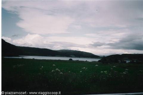 Calm fjord between green hills and woods under a cloudy sky