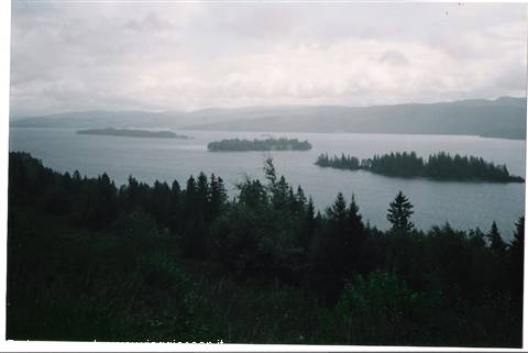 Grey lake with forested islands of conifers under overcast sky