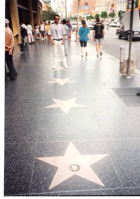 Man standing next to the pink stars of the Hollywood Walk of Fame