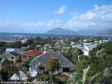 Colorful rooftops among palm trees, ocean and mountains under white clouds