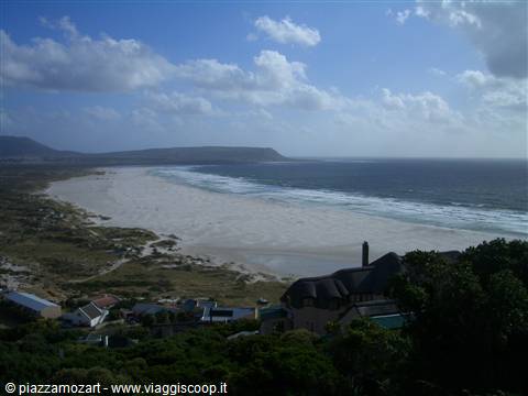 White sand beach and ocean under clouds, thatched-roof houses in the foreground