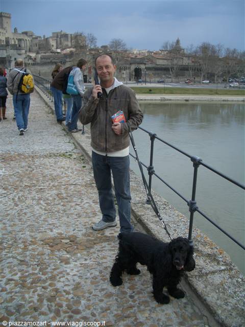 Man with black cocker spaniel on the Pont Saint-Bénézet, Avignon