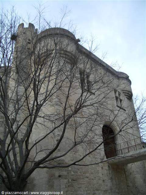 Medieval stone fortress with round towers, bare branches in foreground