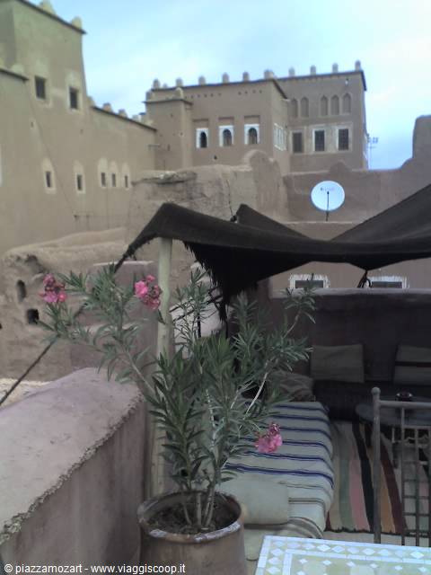 Rooftop terrace with potted oleander and ancient mud-brick kasbah