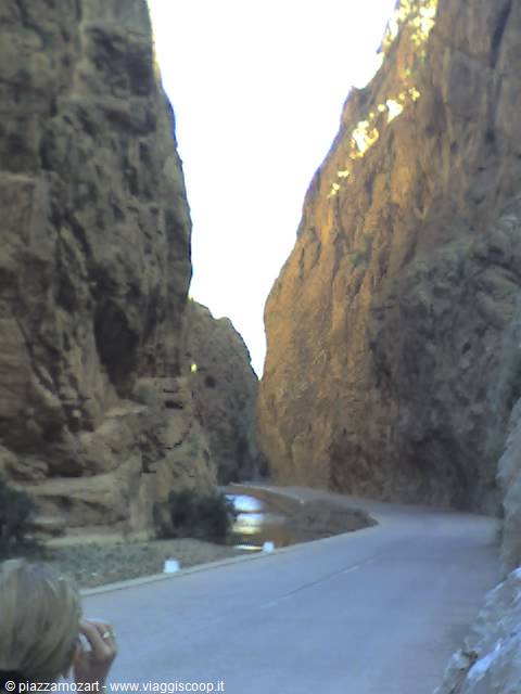 Asphalt road winding between steep rock walls in the Asco gorge