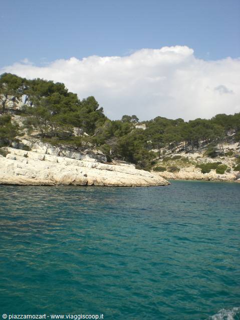 Turquoise water between white limestone rocks and pines in Cassis calanques