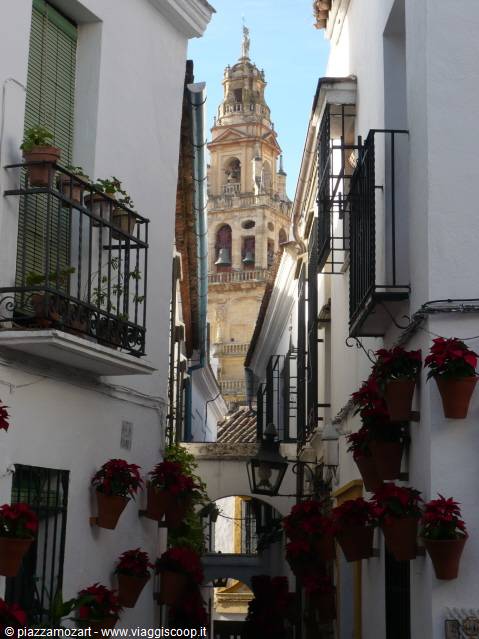 Narrow alley with red flowerpots and baroque bell tower between white houses, Cordoba