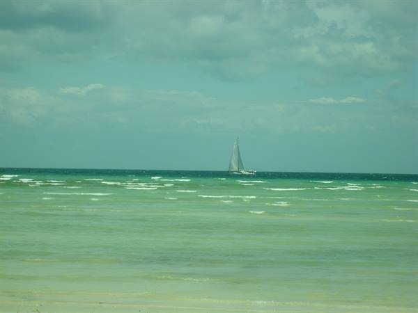 Phi Phi Island