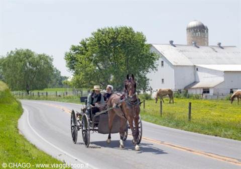AMISH