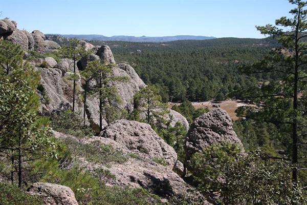 Copper Canyon