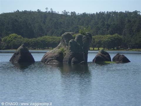 Lake Arareko