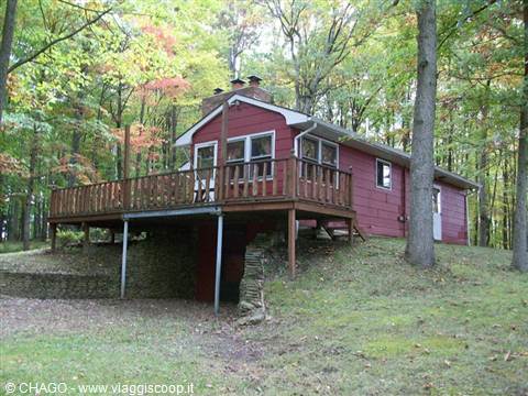 Red wooden cabin with raised deck among autumn trees