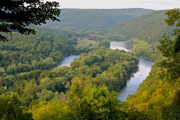 ALLEGHENY NATL FOREST