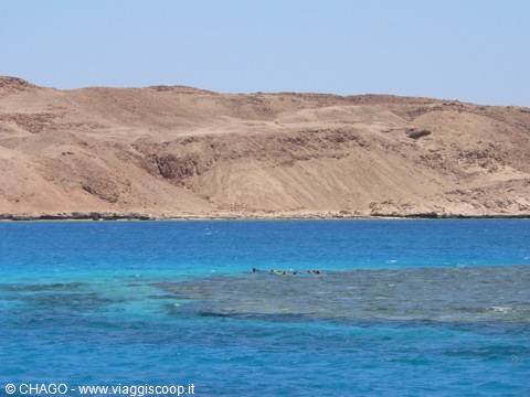 RED SEA