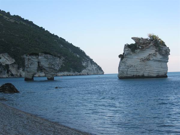 the sea stacks