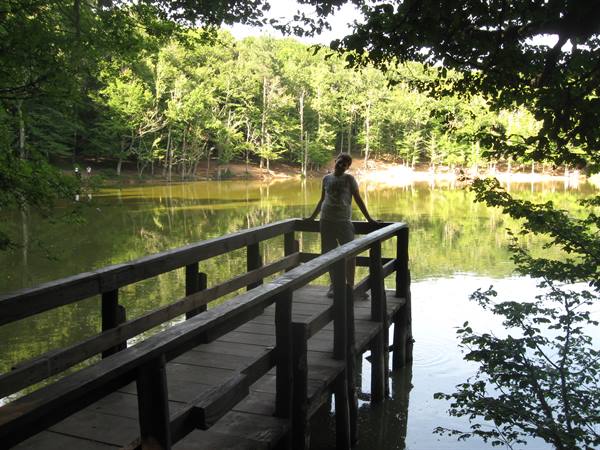Woman on wooden pier over green lake surrounded by forest