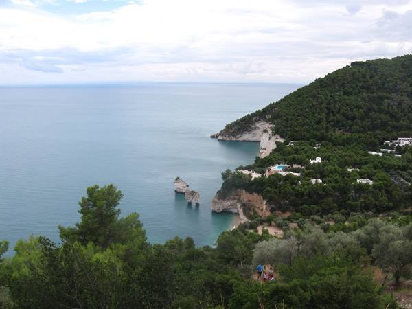 Limestone sea stacks at Baia delle Zagare, Gargano coast, among pines and Mediterranean scrub