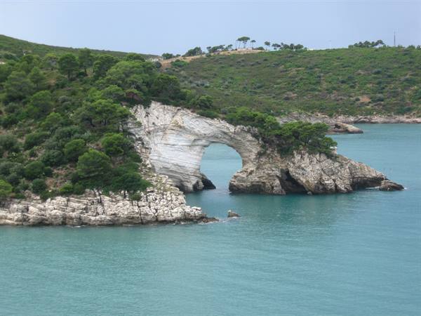 White limestone arch over turquoise sea at Gargano, pines on the cliff