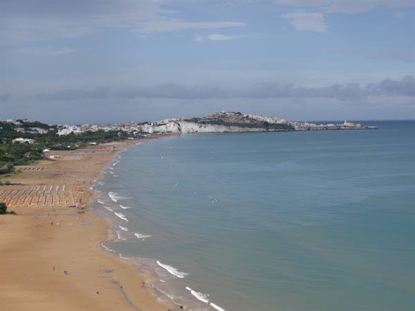 Vieste panorama