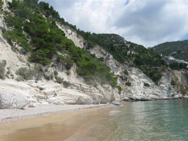 White limestone cliffs with pines above sandy beach, canoes on shore