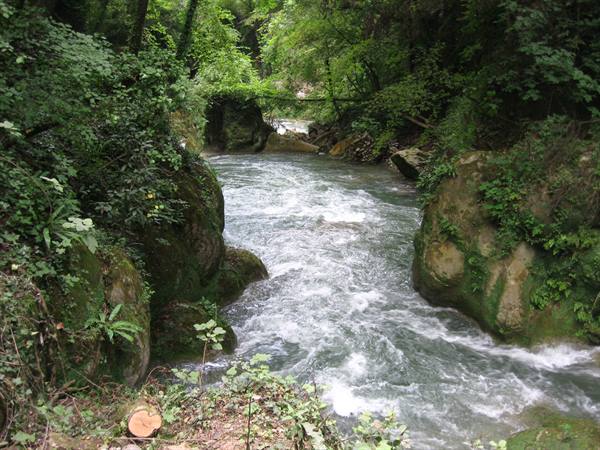 Rushing river between mossy boulders and lush greenery, a cut log nearby