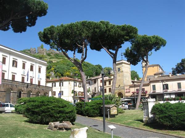 Tall pines over a town square, clock tower and hilltop castle under blue sky
