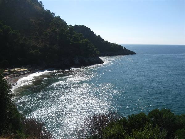 Rocky cove with pebble beach, pine trees and sun sparkling on the sea