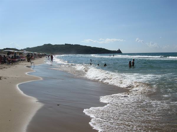Swimmers in the waves on sandy beach, umbrellas and green headland
