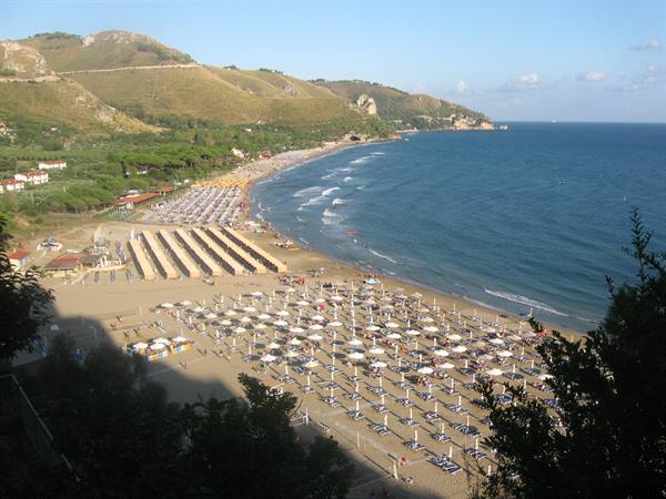 Beach with white umbrellas and sand beneath green hills by the sea