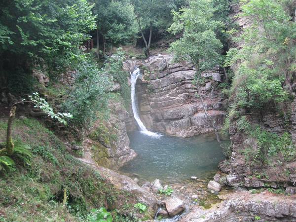 Waterfall dropping over layered rocks into a green pool surrounded by trees