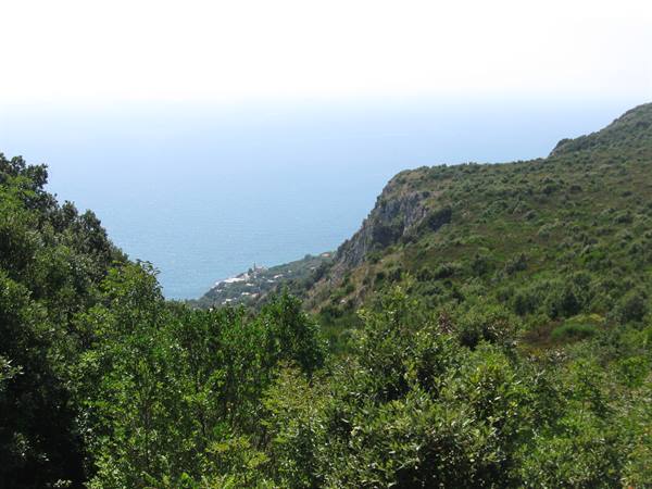 Green Mediterranean shrubland on rocky slopes sloping down to the sea