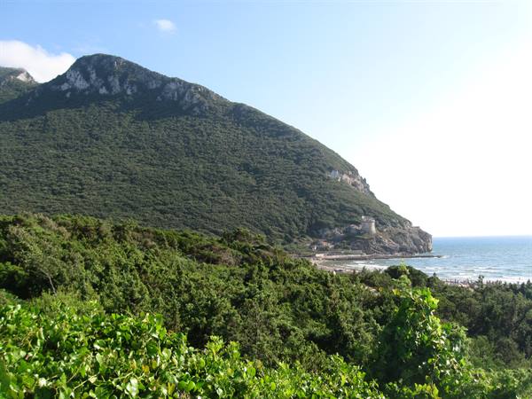 Circeo promontory from Sabaudia