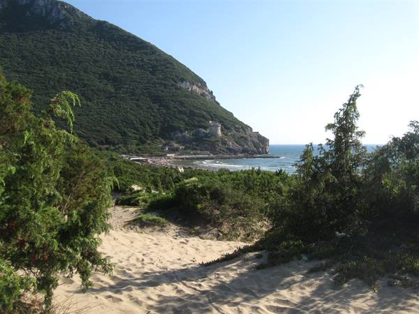 Sand and junipers toward the sea, Torre di Sabaudia on the green promontory
