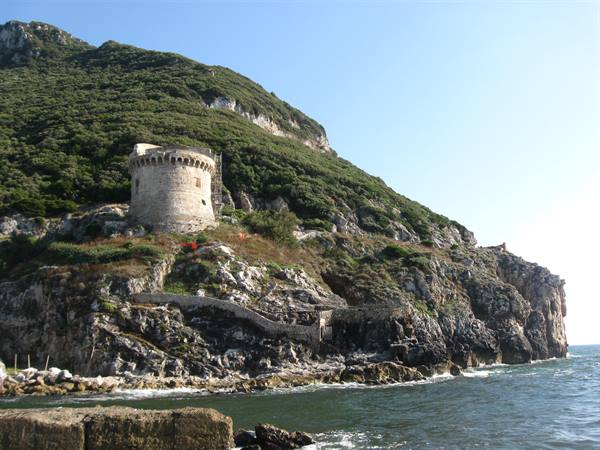 tower