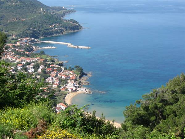 Marciana Marina, Elba: seaside village with pier and beach among greenery