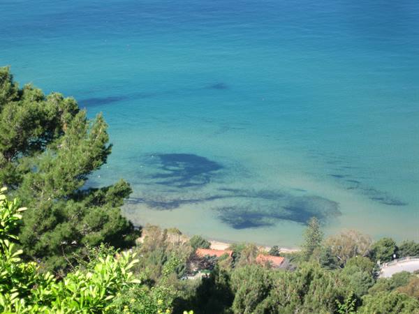 Pines above clear turquoise water and red-tiled roofs along the shore