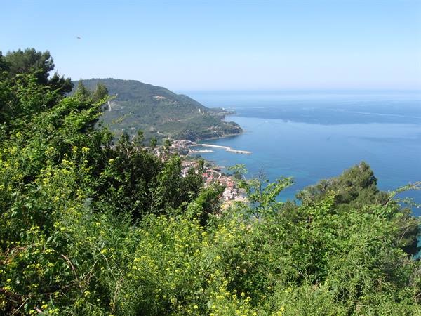 Flowering bushes above a fishing village with beach and turquoise sea