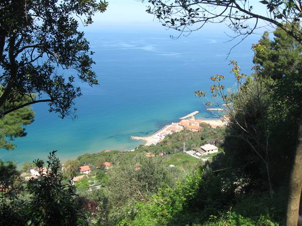 Turquoise sea framed by green branches, houses and beach among trees