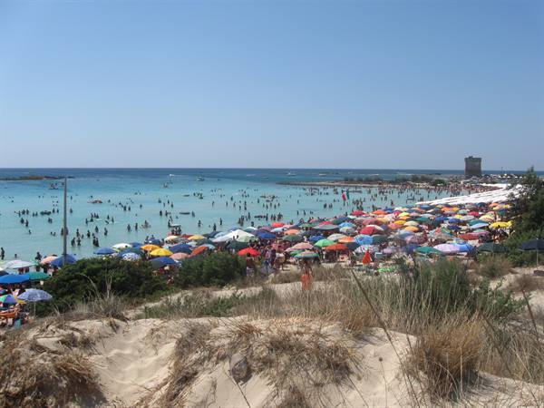 TORRE LAPILLO
