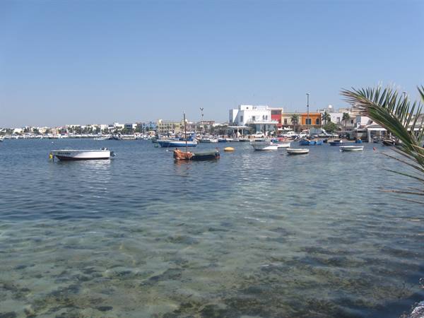 Colorful boats moored in the harbor, low houses ashore, clear water, palm frond