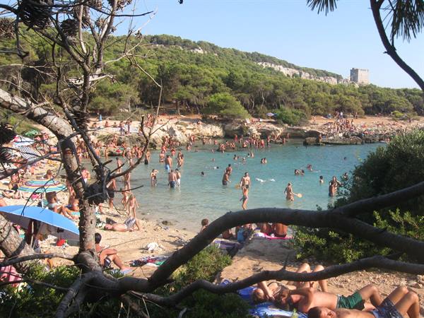 Crowded beach with swimmers among pines and rocks, ancient tower on the hill