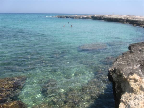 crenellated coast