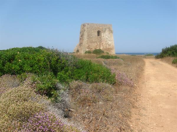 Pozzelle tower