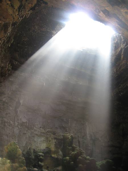 Sunbeam streaming through the opening of Castellana Cave, limestone rocks and moss