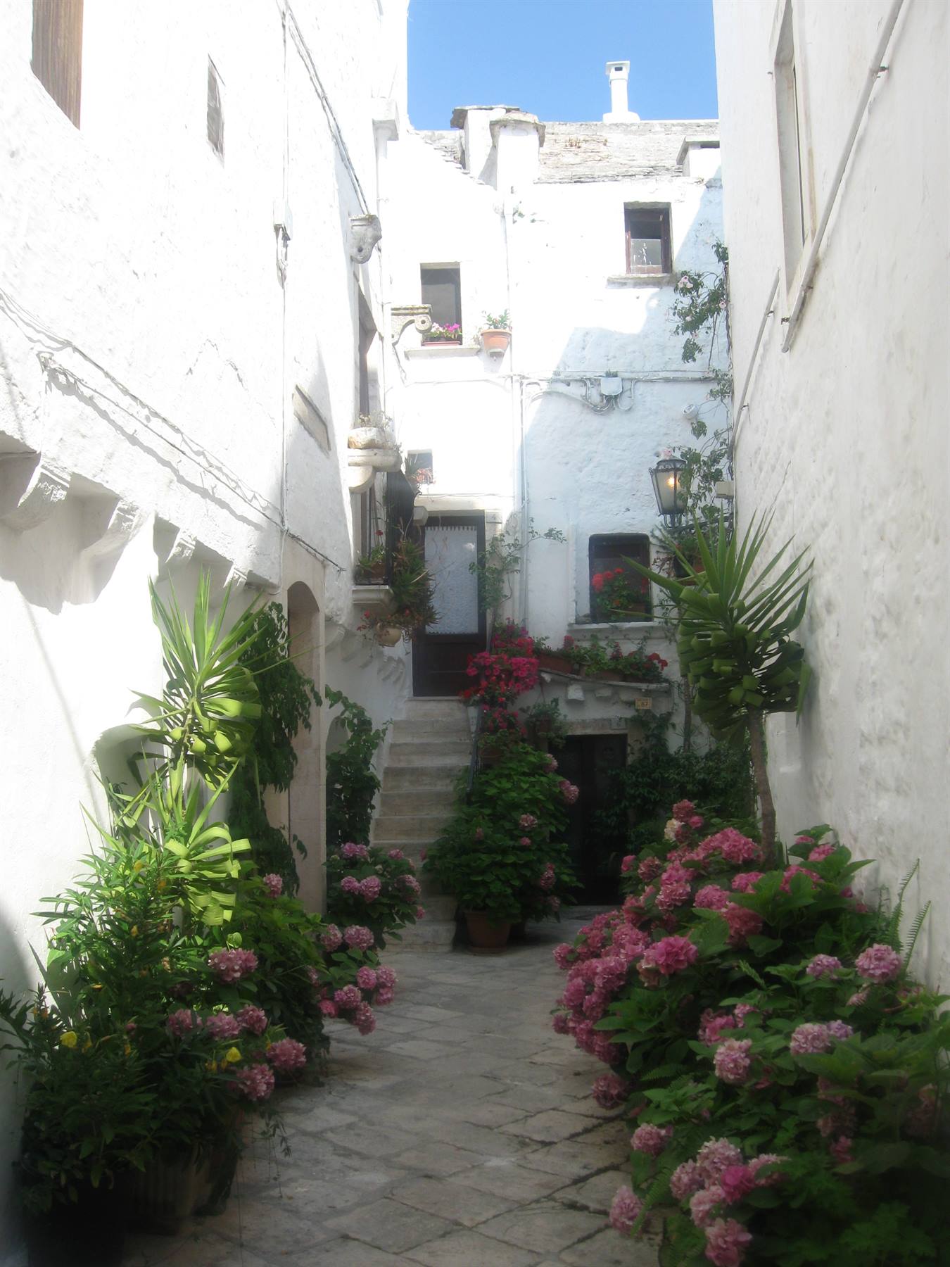 Vicolo bianco con ortensie rosa e scale in pietra tra case imbiancate a calce