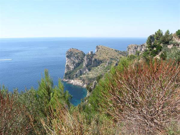 Limestone cliffs over turquoise sea, pines and Mediterranean shrubs in the foreground