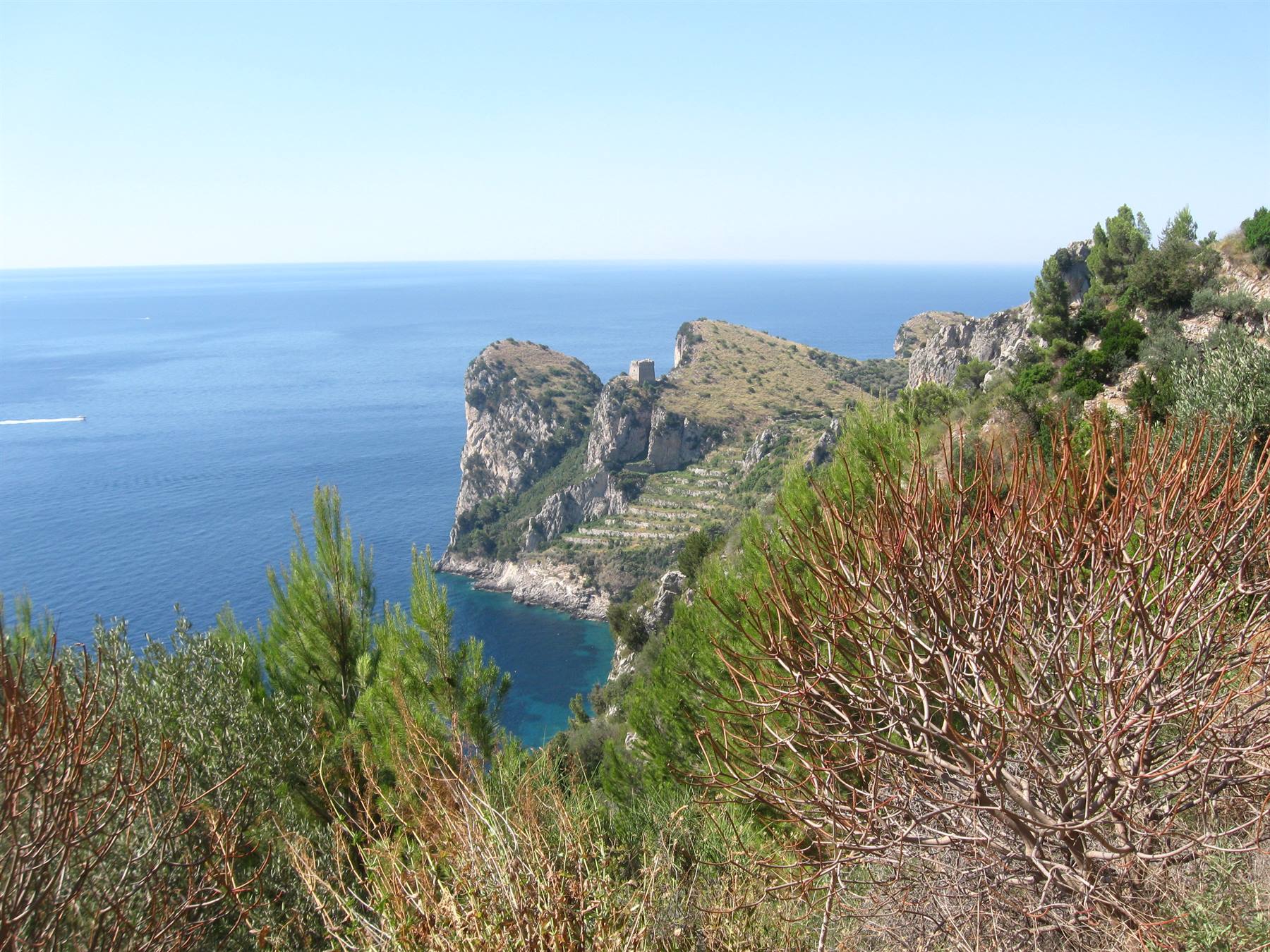 Scogliere calcaree sopra un mare turchese, pini e macchia mediterranea in primo piano