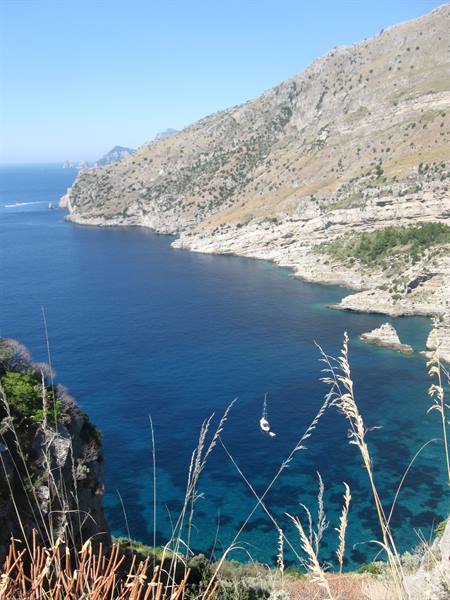 Boat on turquoise water beneath rugged cliffs, dry plants in foreground, clear sky