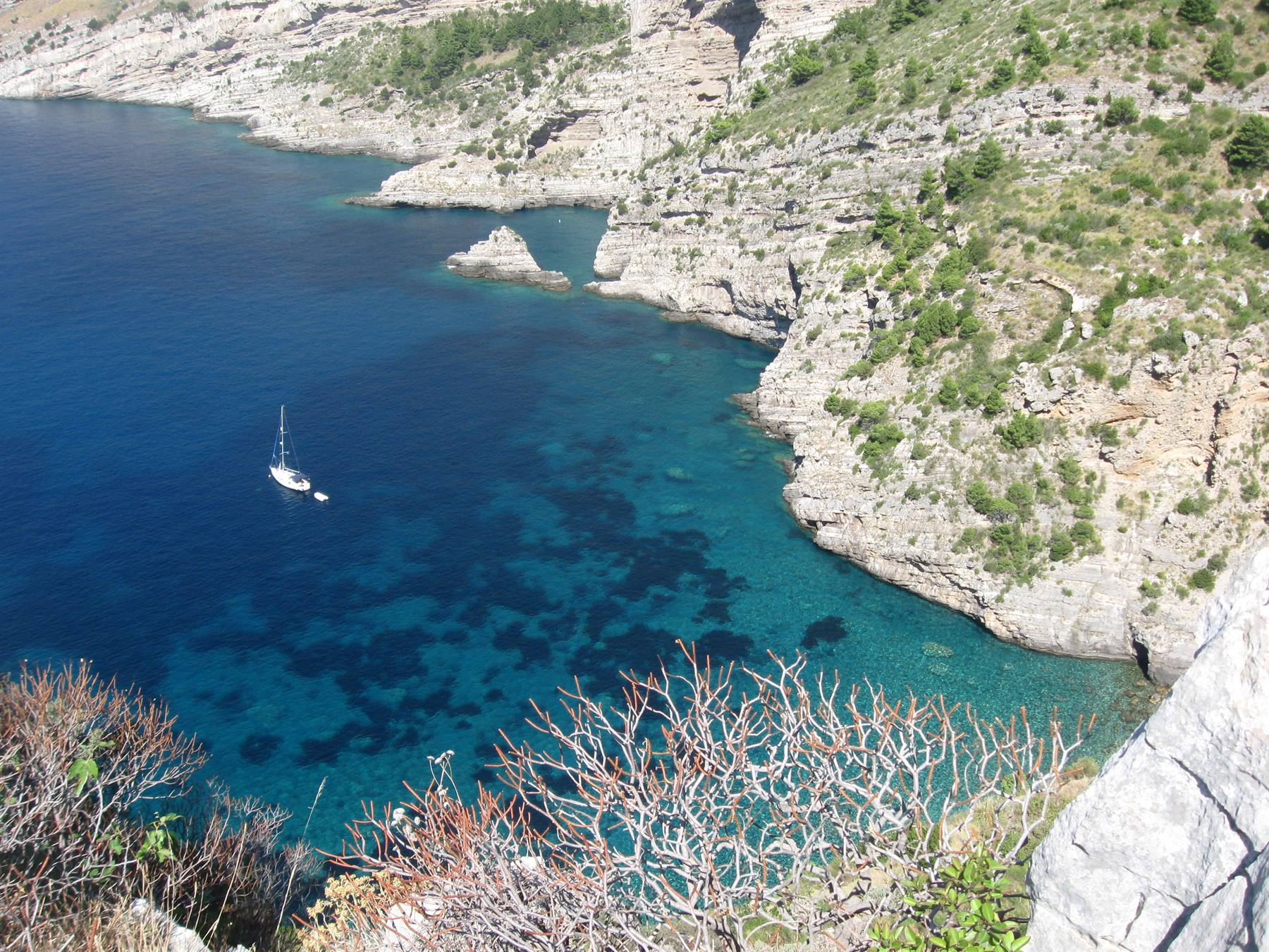 Velella bianca in caletta rocciosa con acqua turchese e macchia mediterranea